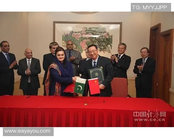 中国与新加坡的经济合作与文化交流新机遇探讨